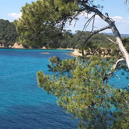 T3 Front De Dernier Etage Vue Petit Havre De Paix Pour Vos Emplacement Unique Vue Panoramique A 180 Degres Pour Ce T3 En Face De La Front De Vue Sur Les Iles 5 Et Dernier Etage Avec Ascenseur Le Lavandou