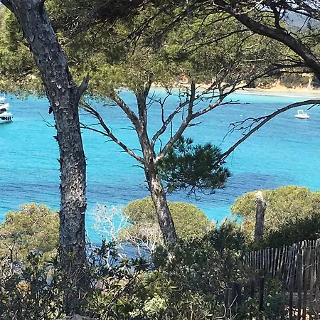 Διαμέρισμα T3 Front De Dernier Etage Vue Petit Havre De Paix Pour Vos Emplacement Unique Vue Panoramique A 180 Degres Pour Ce T3 En Face De La Front De Vue Sur Les Iles 5 Et Dernier Etage Avec Ascenseur Le Lavandou